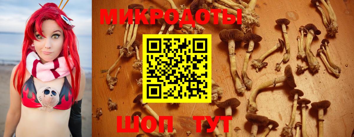Галлюциногенные грибы GOLDEN TEACHER  Вход с VPN  Бугуруслан 