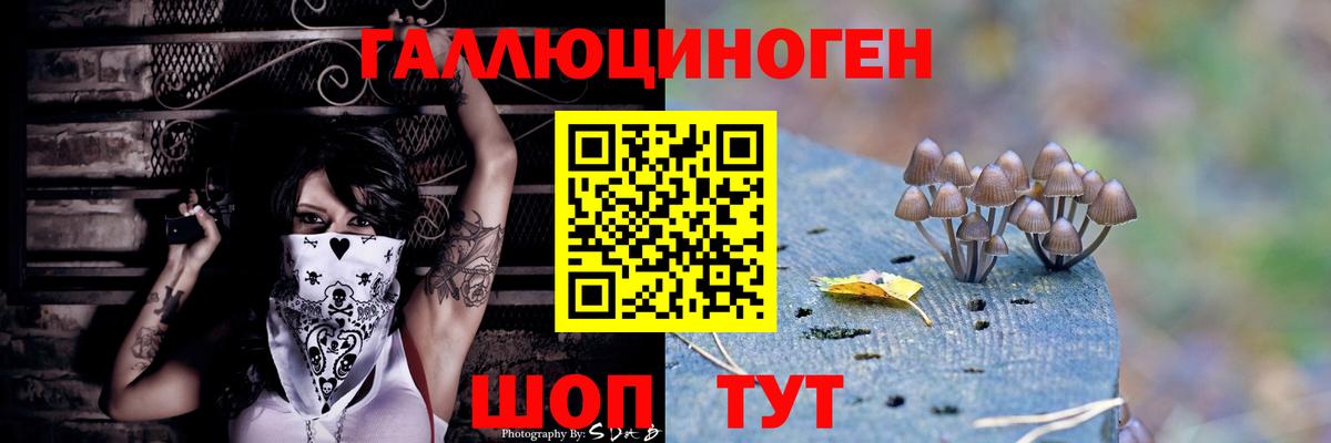 Псилоцибиновые грибы MAGIC MUSHROOMS Бугуруслан